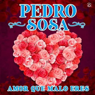 Amor Que Malo Eres by Pedro Sosa