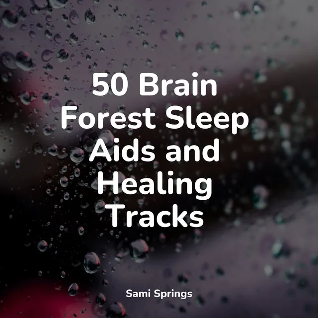 50 Brain Forest Sleep Aids and Healing Tracks