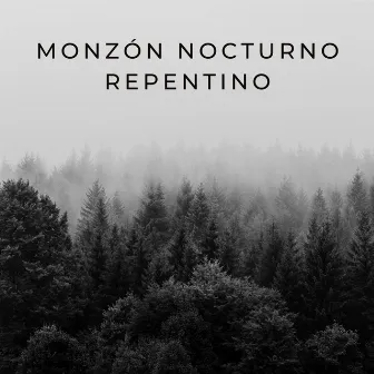 Monzón Nocturno Repentino by Sonidos para Dormir