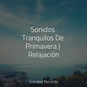 Sonidos Tranquilos De Primavera | Relajación by Musica para Meditar Especialistas