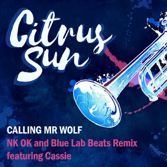 Calling Mr Wolf (NK-OK and Blue Lab Beats Remix) by Unknown Artist