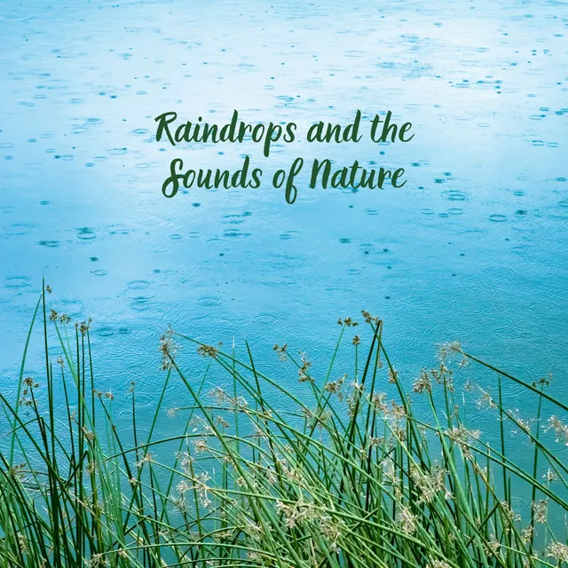 Raindrops and the Sounds of Nature