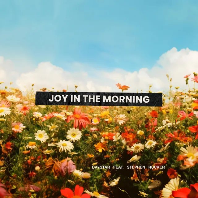 Joy In The Morning (Live)