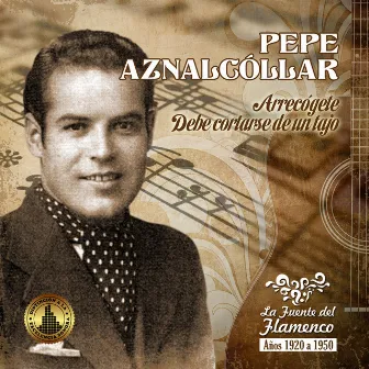 Arrecógete by Pepe Aznalcollar