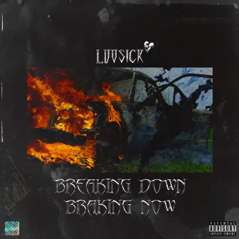 Breaking Down Braking Now by Luvsick