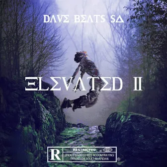 Elevated 2 by Dave BeatsSA