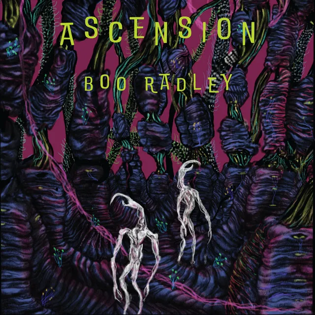 Ascension