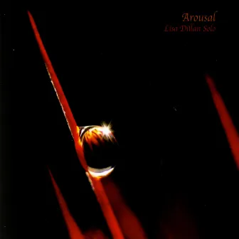 Arousal by Lisa Dillan