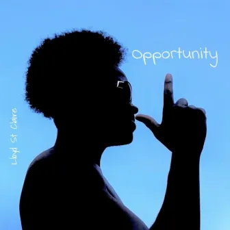 Opportunity by Lloyd St Claire