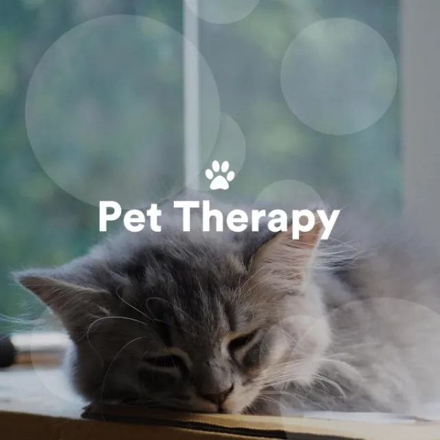 Pet Therapy: Relaxing Music for Dogs, Sleep Music for Cats