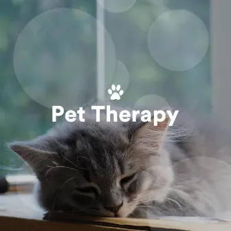 Pet Therapy: Relaxing Music for Dogs, Sleep Music for Cats by Osmosis Now