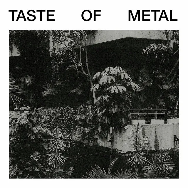 Taste of Metal (feat. K9)