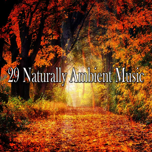 29 Naturally Ambient Music