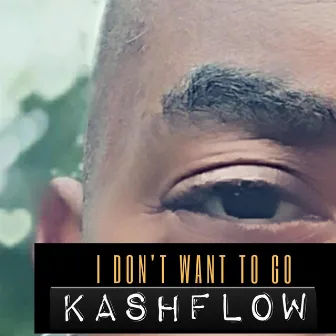 I Dont Wanna Go by Kashflow