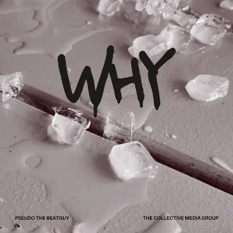 Why by Pseudo the Beatguy