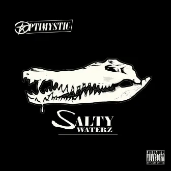 Salty Waterz by Optimystic