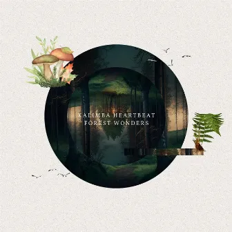 Kalimba Heartbeat: Forest Wonders by Nichole Reed