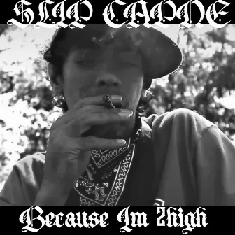 Because Im 2high by DJ 2High