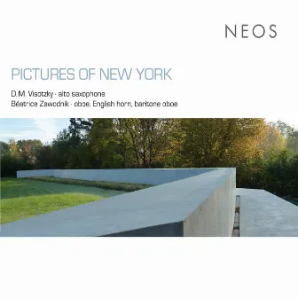 Pictures of New York by D.M. Visotzky