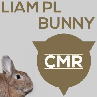 Bunny EP by LIAM PL