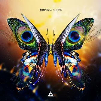 U & Me by Tritonal