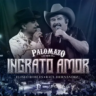 Ingrato Amor (En Vivo Desde El Domo Care) by PALOMAZO NORTEÑO