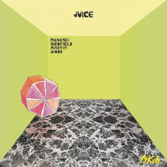 Juice by Medeski Scofield Martin & Wood