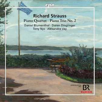 Strauss: Piano Quartet in C Major, Op. 13, TrV 137 & Piano Trio No. 2 in D Major, TrV 71 by Tony Nys