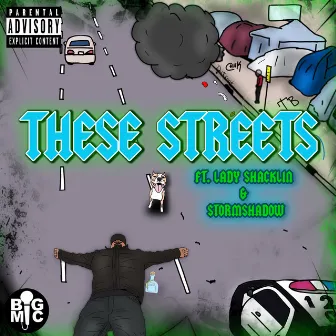 These Streets by Big Mic