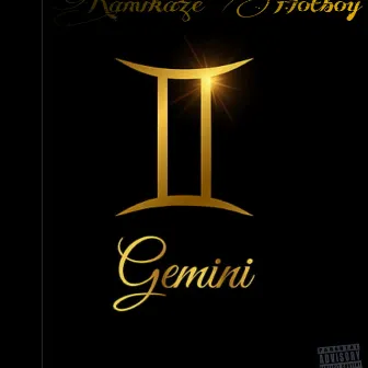 GEMINI TYPE by Kamikaze Hotboy