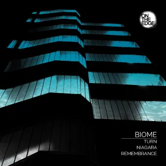 View From The Edge by Biome