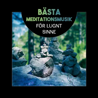 Bästa meditationsmusik för lugnt sinne (Lugnande instrumentella ljud med naturens röster, Tid för avkoppling, Yoga, Sömn och välbefinnande) by Meditationen Låten Akademi