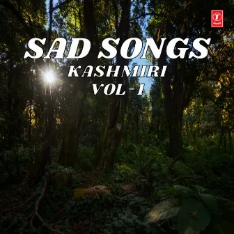 Sad Songs - Kashmiri Vol-1 by Jameela Khan