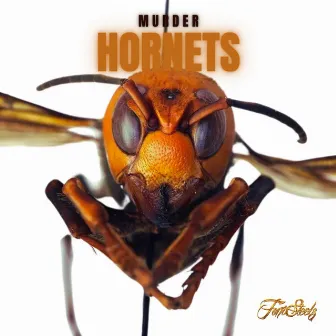 Murder Hornets by ToniSteelz