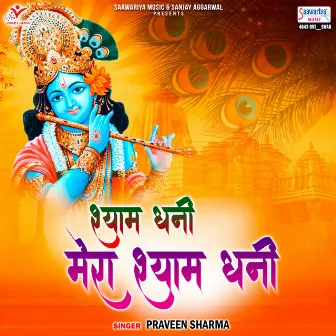 Shyam Dhani Mera Shyam Dhani by Praveen Sharma