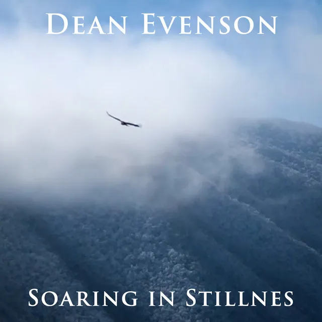 Soaring in Stillness