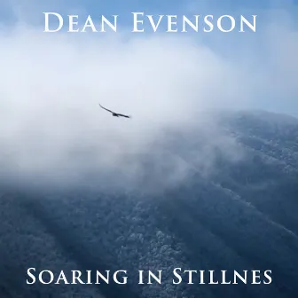 Soaring in Stillness by Douglas Johnson