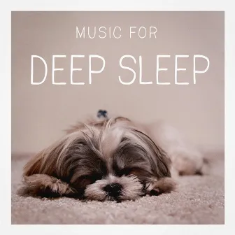 Music for Deep Sleep by Sleeping Music Zone