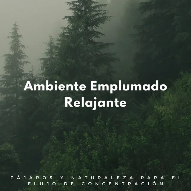 Armonía Ambiental Relajante