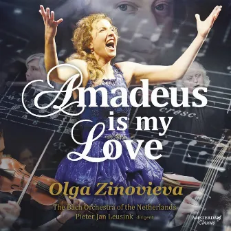 Amadeus is My Love by The Bach Orchestra of the Netherlands