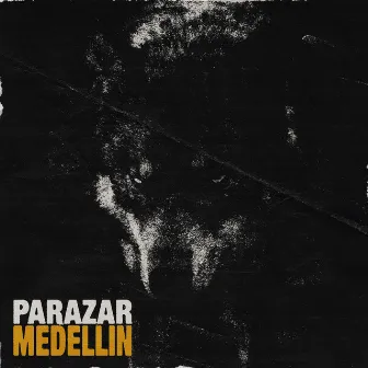 Medellin by Parazar