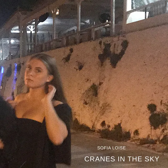 Cranes in the Sky (Live)