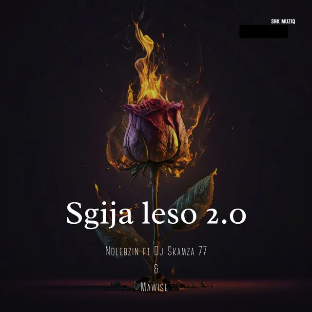 Sgija Leso 2.0