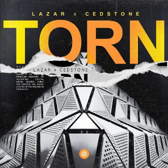 Torn by Cedstone