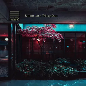 Tricky Dub by Simon Jaxx