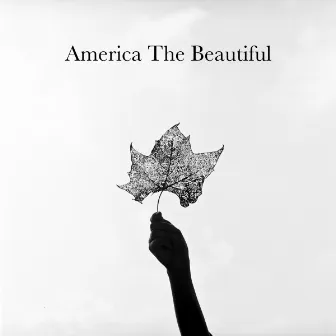 America The Beautiful by Matt Rollings