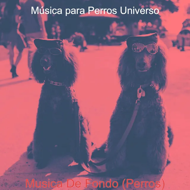 Musica De Fondo (Perros)