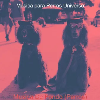 Musica De Fondo (Perros) by Música para Perros Universo