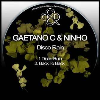 Disco Rain by Ninho