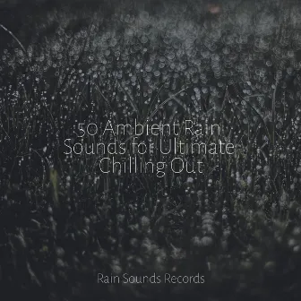 50 Ambient Rain Sounds for Ultimate Chilling Out by Sea Waves Sounds